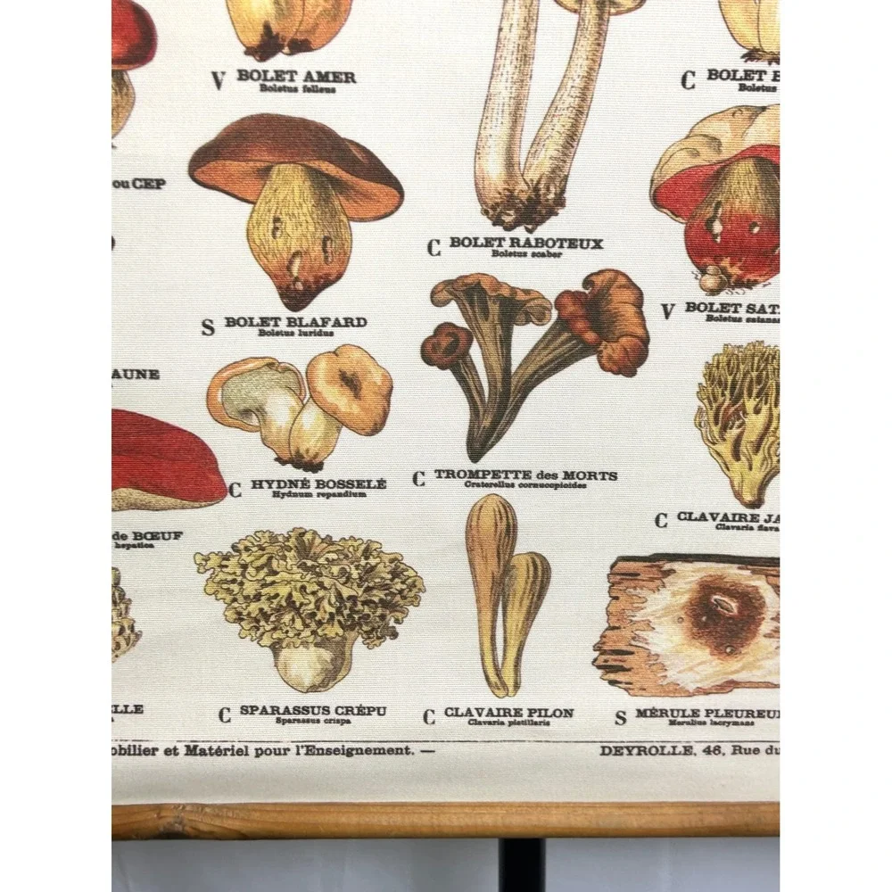 Vintage French Mushroom Botanical Scroll Wall Hanging Canvas Fungi Chart Art
